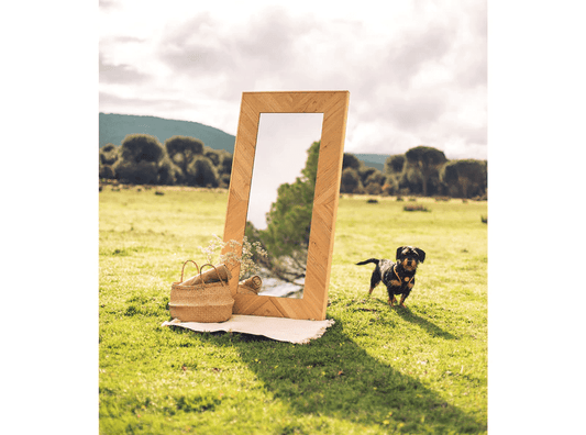 Pampa Mirror - The DecFair